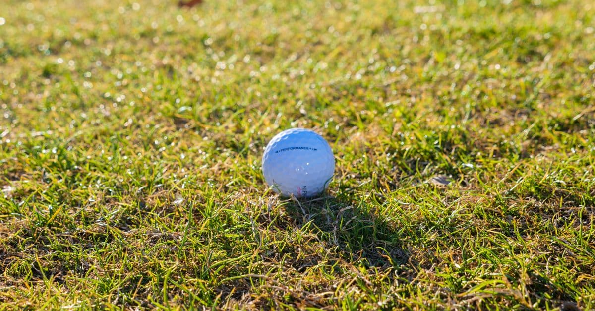 A golf ball sitting on dry, patchy summer turf, the grass thinned and browning in low sunlight.