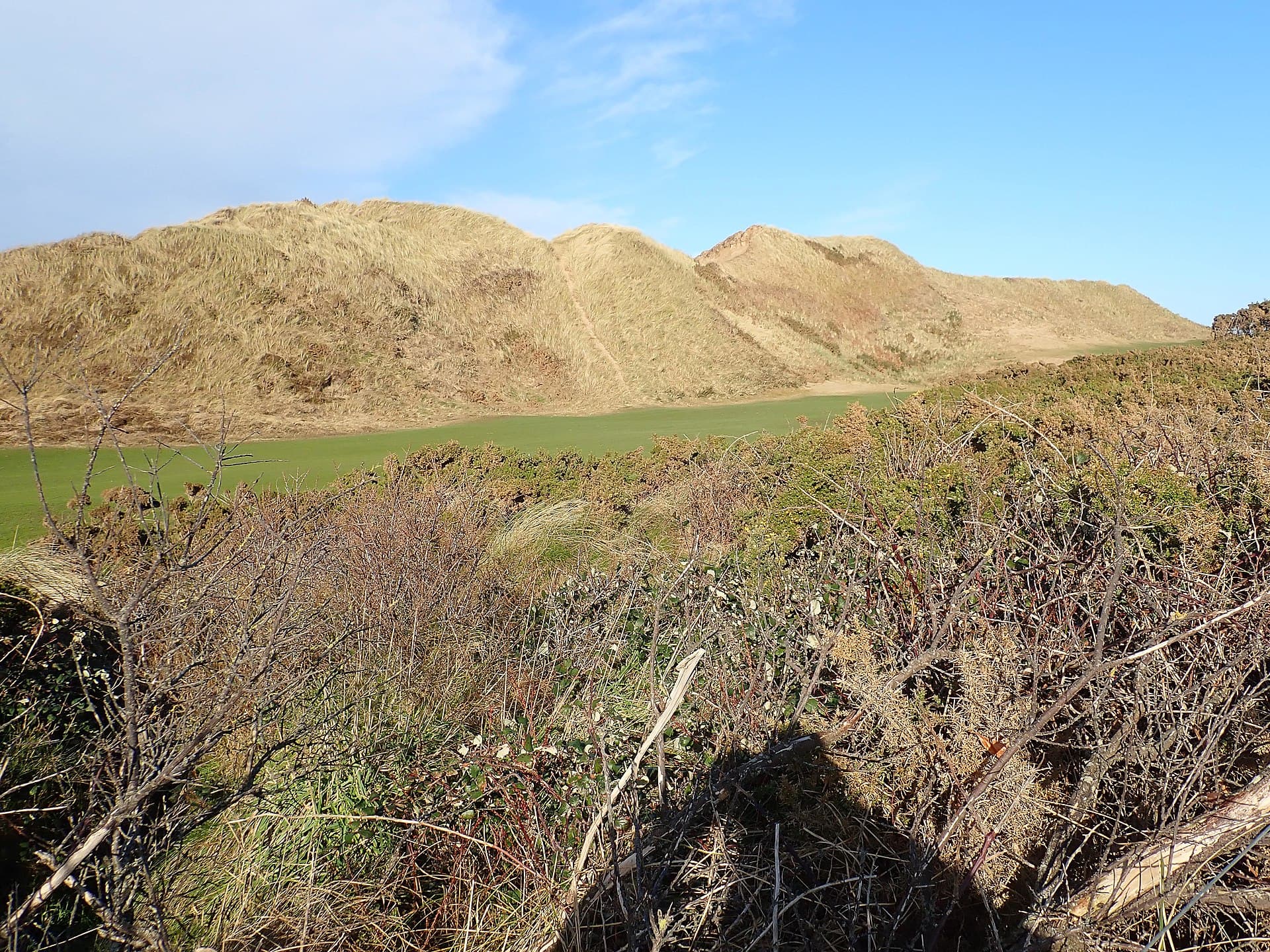 Greens between the sand dunes at Royal County Down.