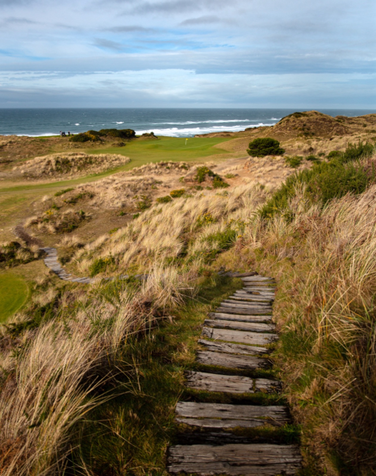 Pacific Dunes at Bandon Dunes Golf Resort, Oregon.