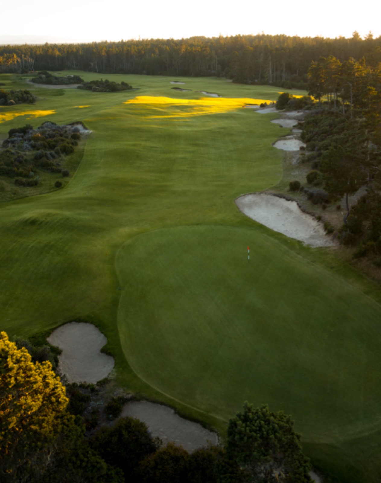 Bandon Trails, the inland course through dunes and forest.
