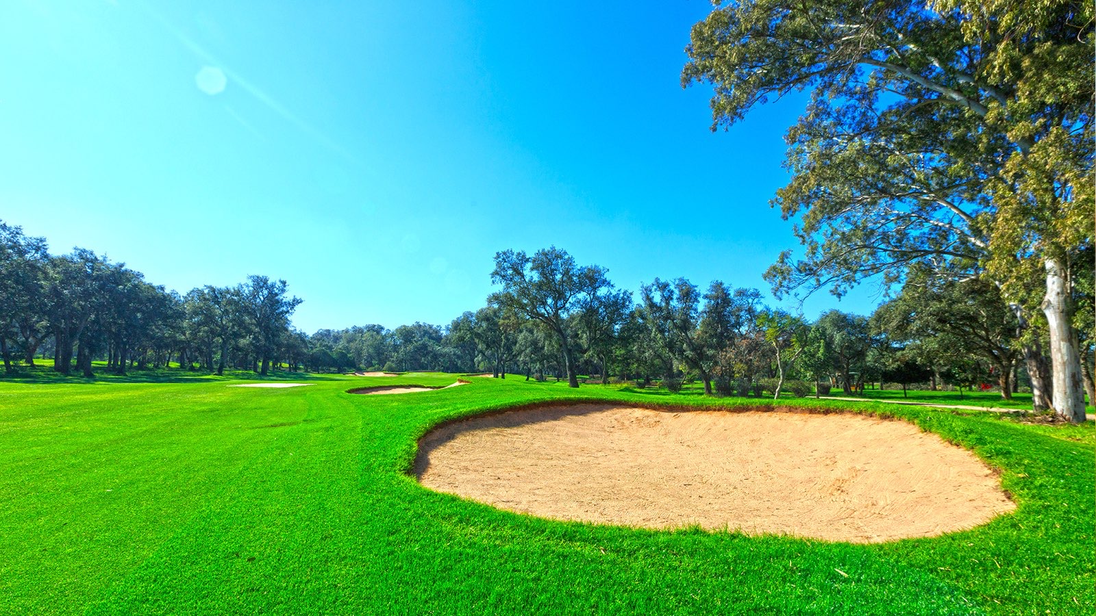 A sunlit fairway and bunker framed by cork oaks at Royal Golf Dar Es Salam, Rabat, Morocco.