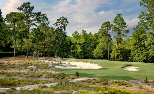 Pinehurst No. 2, Donald Ross's masterpiece.