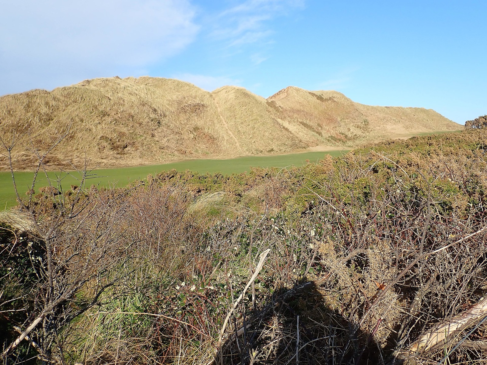 Greens between the sand dunes at Royal County Down.