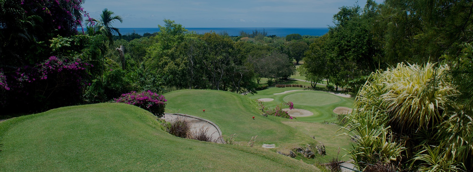 A downhill tropical hole on The Old Nine at Sandy Lane, framed by bougainvillea and palms, with a bunkered green below and the Caribbean on the horizon.