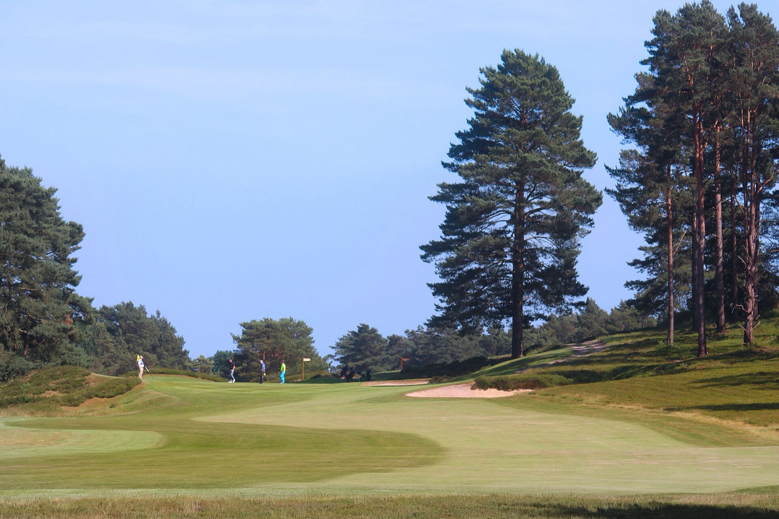 Heathland golf at Sunningdale, Berkshire, England.